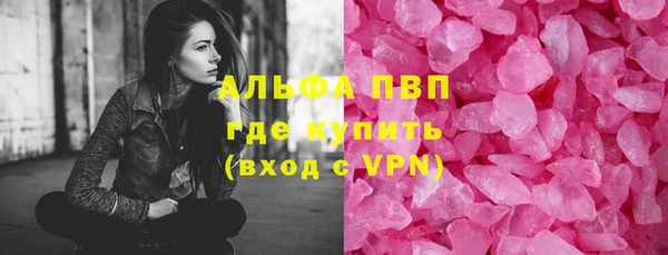 ешки Новодвинск