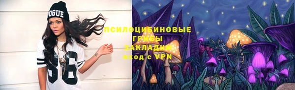 метадон Новозыбков