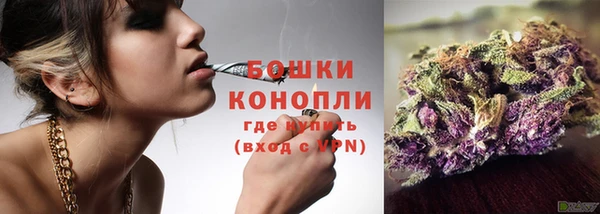 прущие грибы Ижевск
