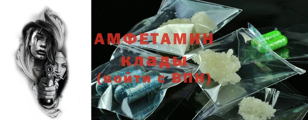 ешки Новодвинск