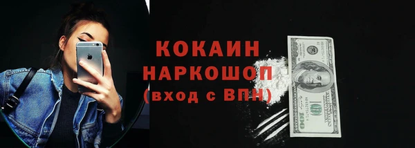 ешки Новодвинск