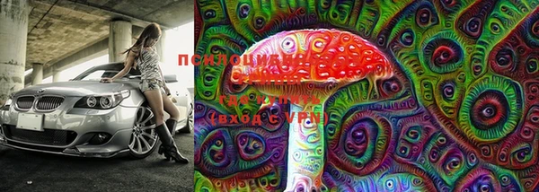 метадон Новозыбков