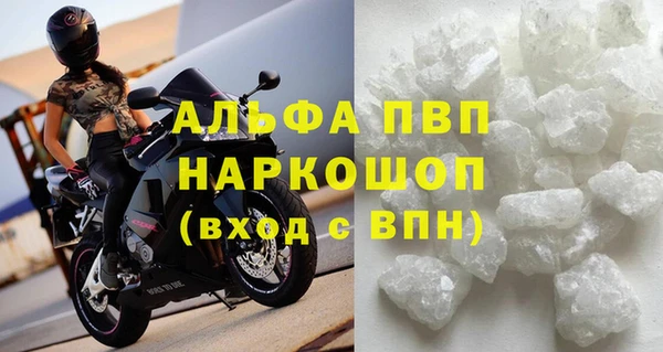 ешки Новодвинск