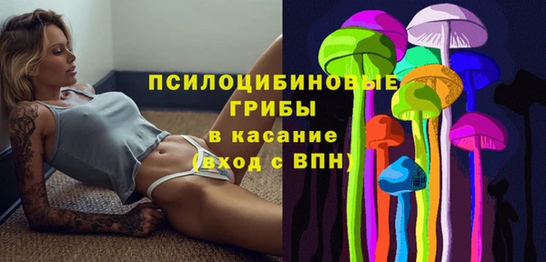 метадон Новозыбков