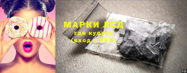 ешки Новодвинск