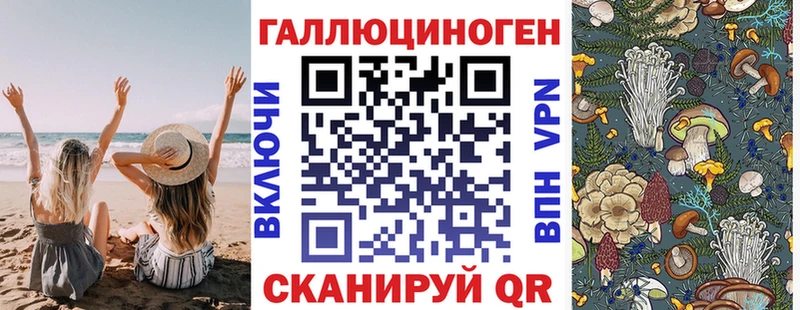 Галлюциногенные грибы MAGIC MUSHROOMS Новосиль